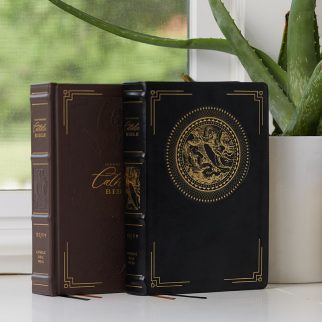 NRSVCE Illustrated Catholic Bible Photo7